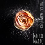 apple-roses-micromacro-food
