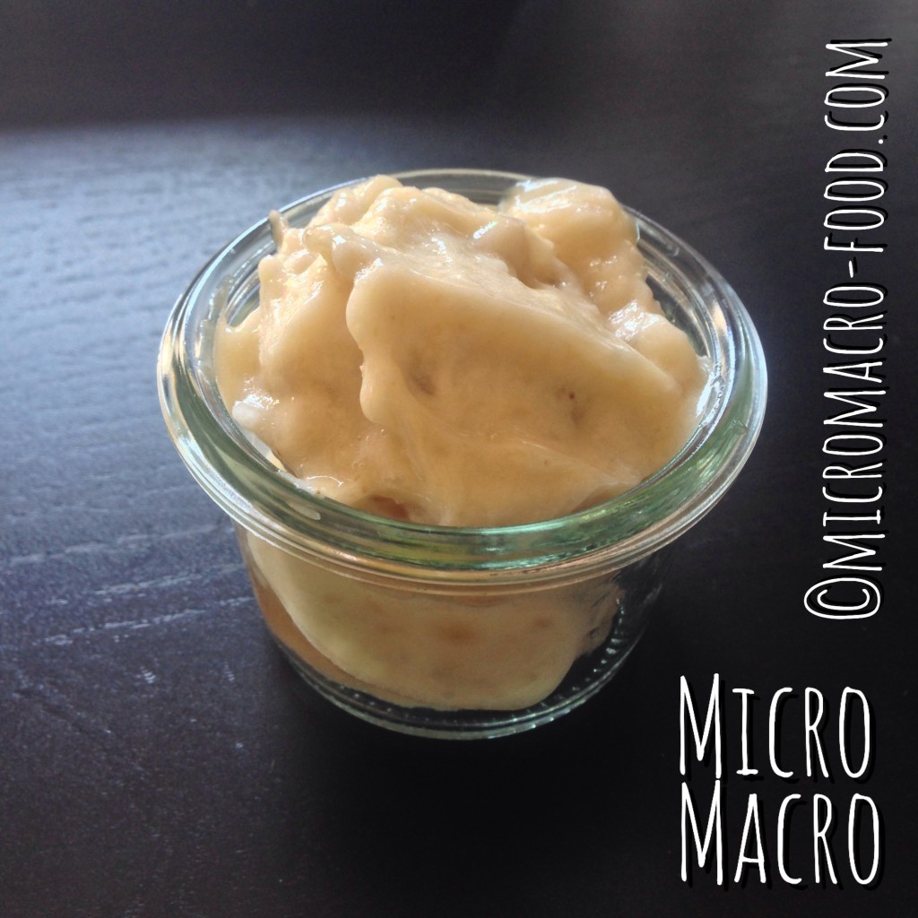 gelato-vegan-micromacro-food