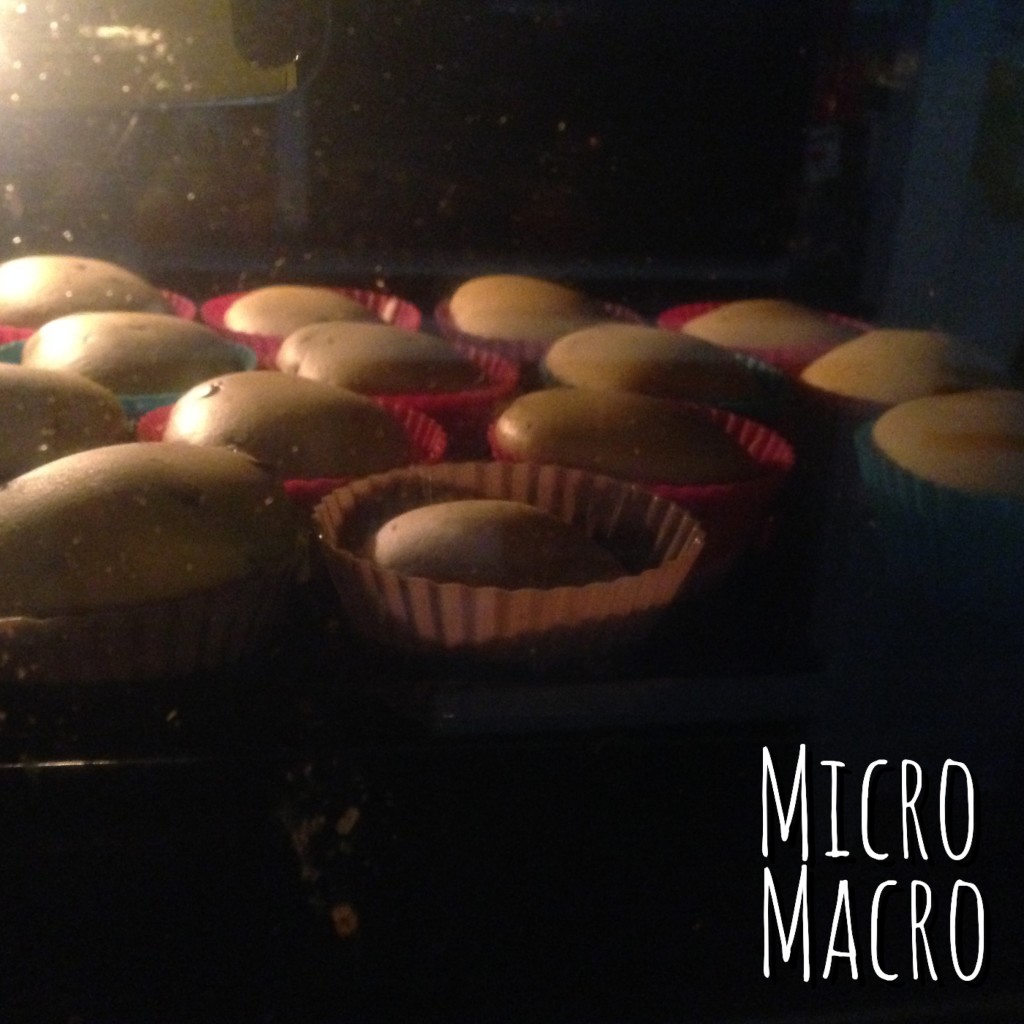 muffin-zucca-cioccolato-cottura-micromacro-food